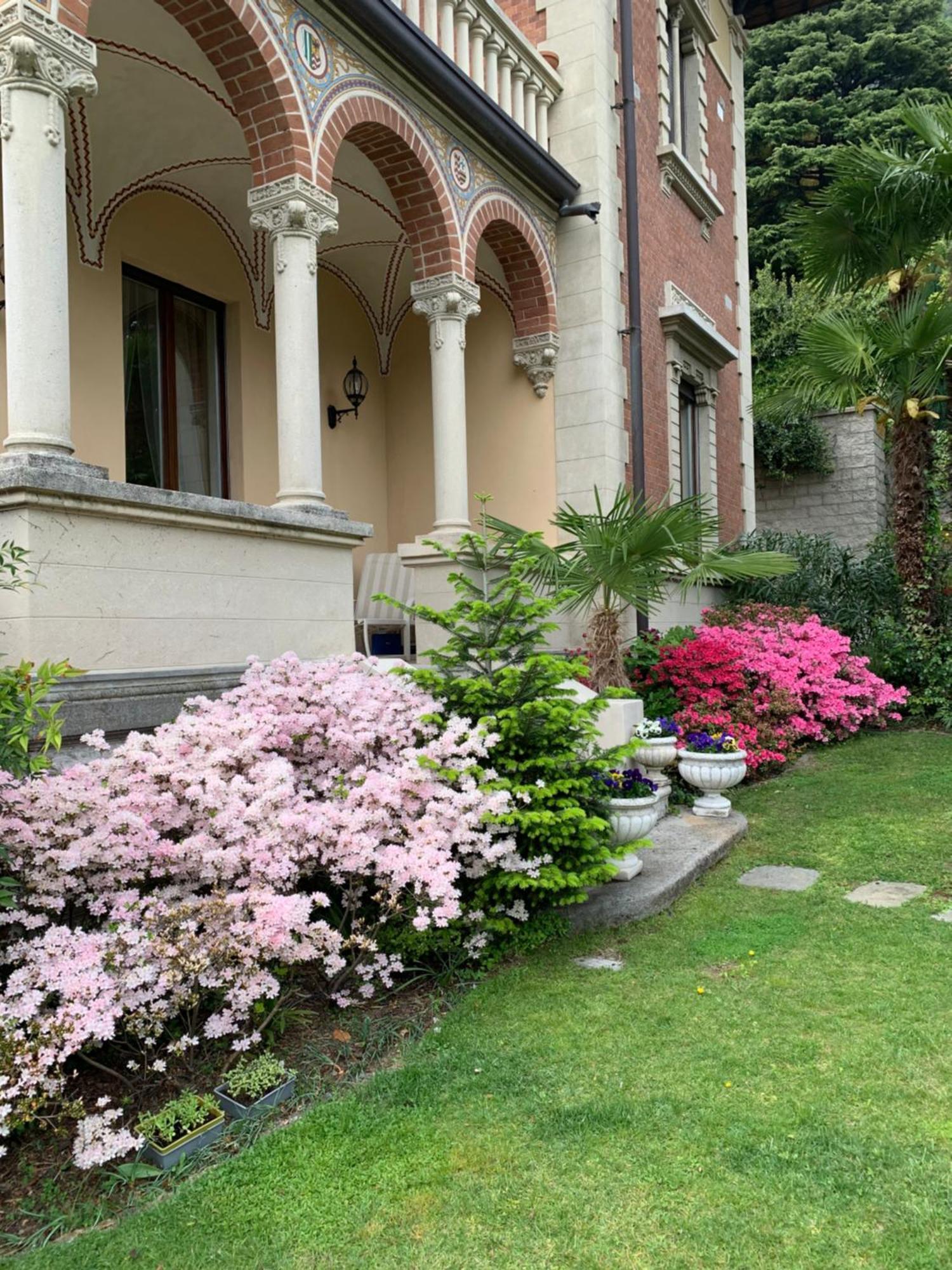 Villa Castiglioni Luxury Apartment Laglio Exterior foto